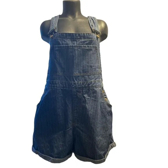 Authentic NWOT Princess Polly Kacey Overalls Mid Blue Pin Stripes