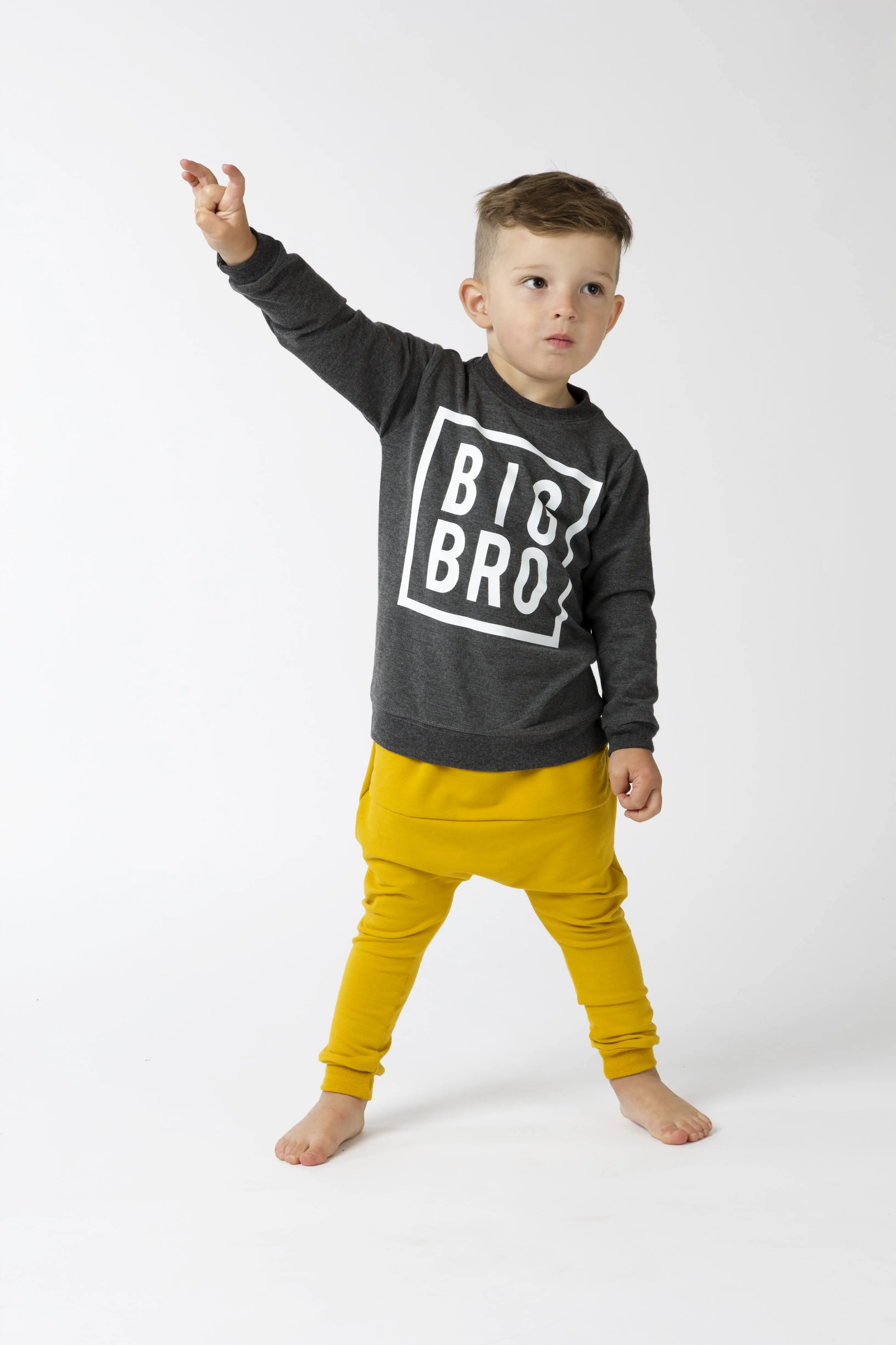 Big Bro / Lil Bro Sweatshirt - Various Colors