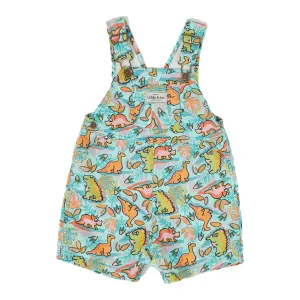 Burton Dino Jungle Denim Overalls