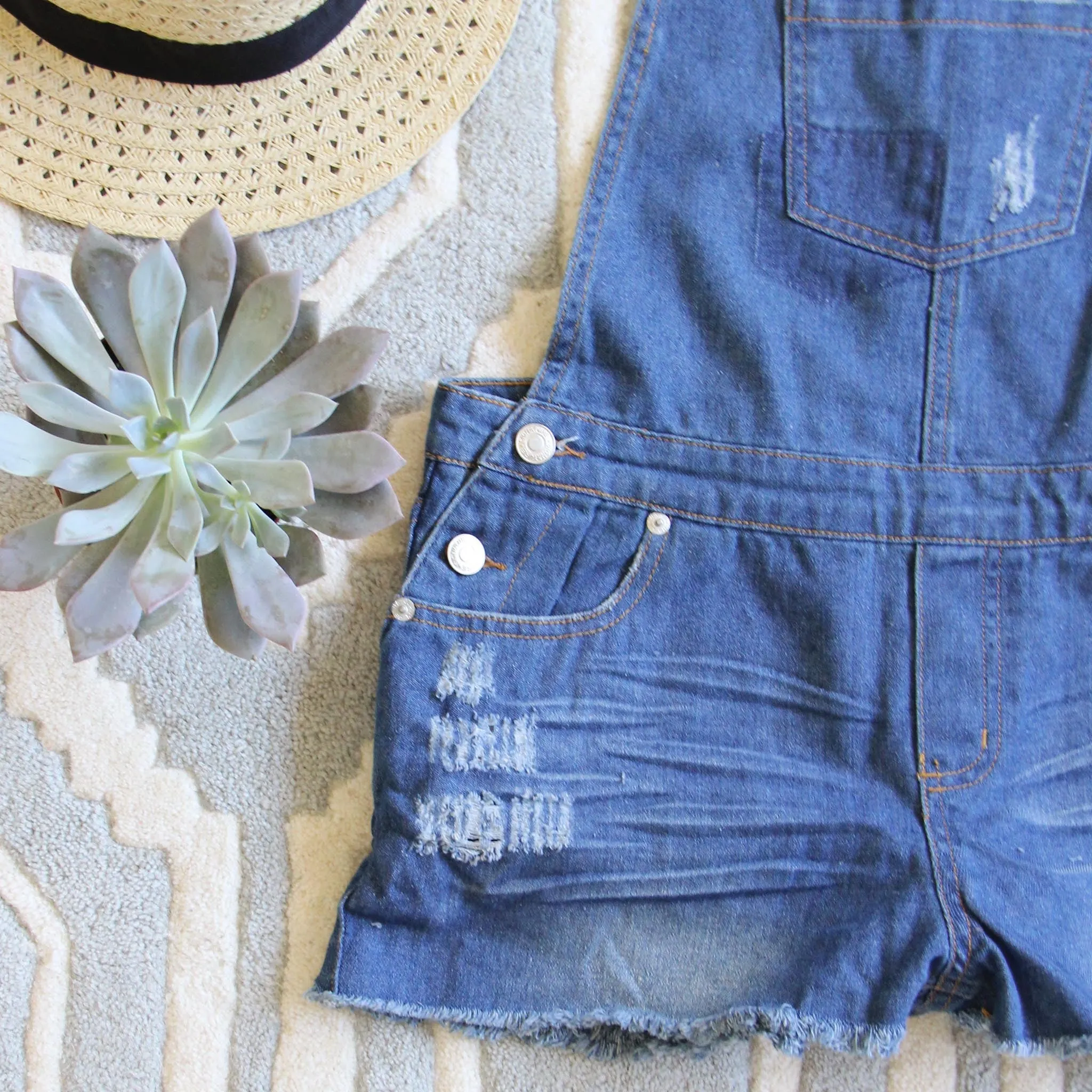 Camper Distressed Overalls