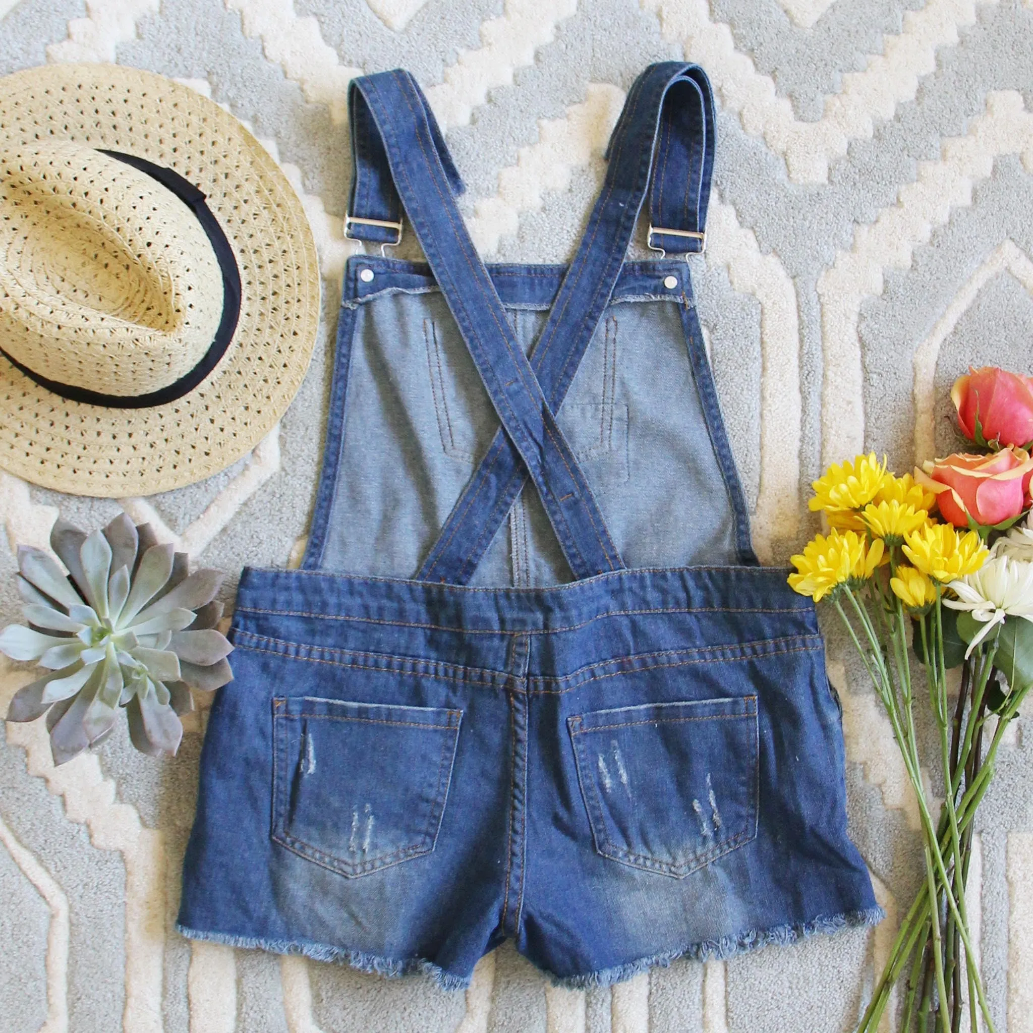 Camper Distressed Overalls
