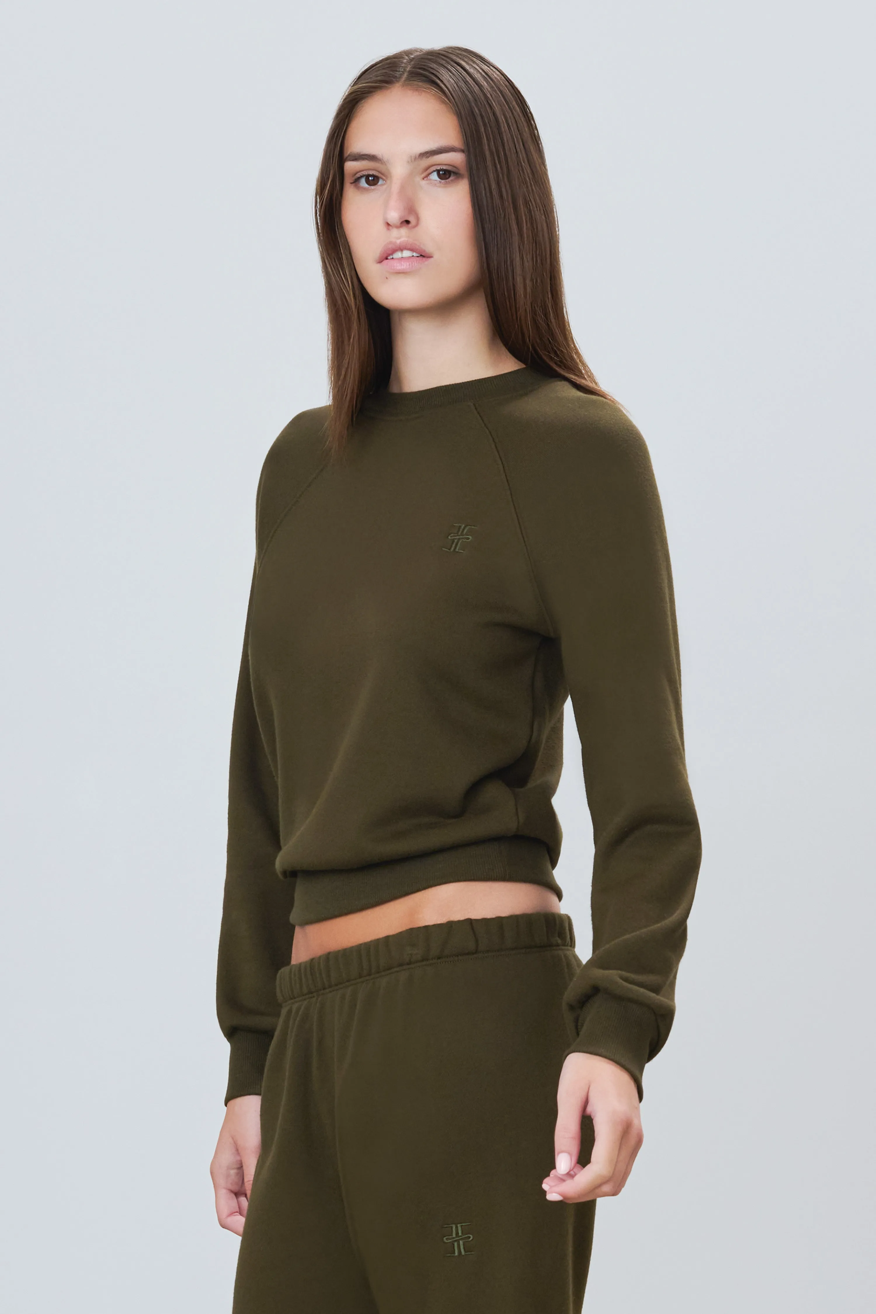 Shrunken Raglan Sweatshirt