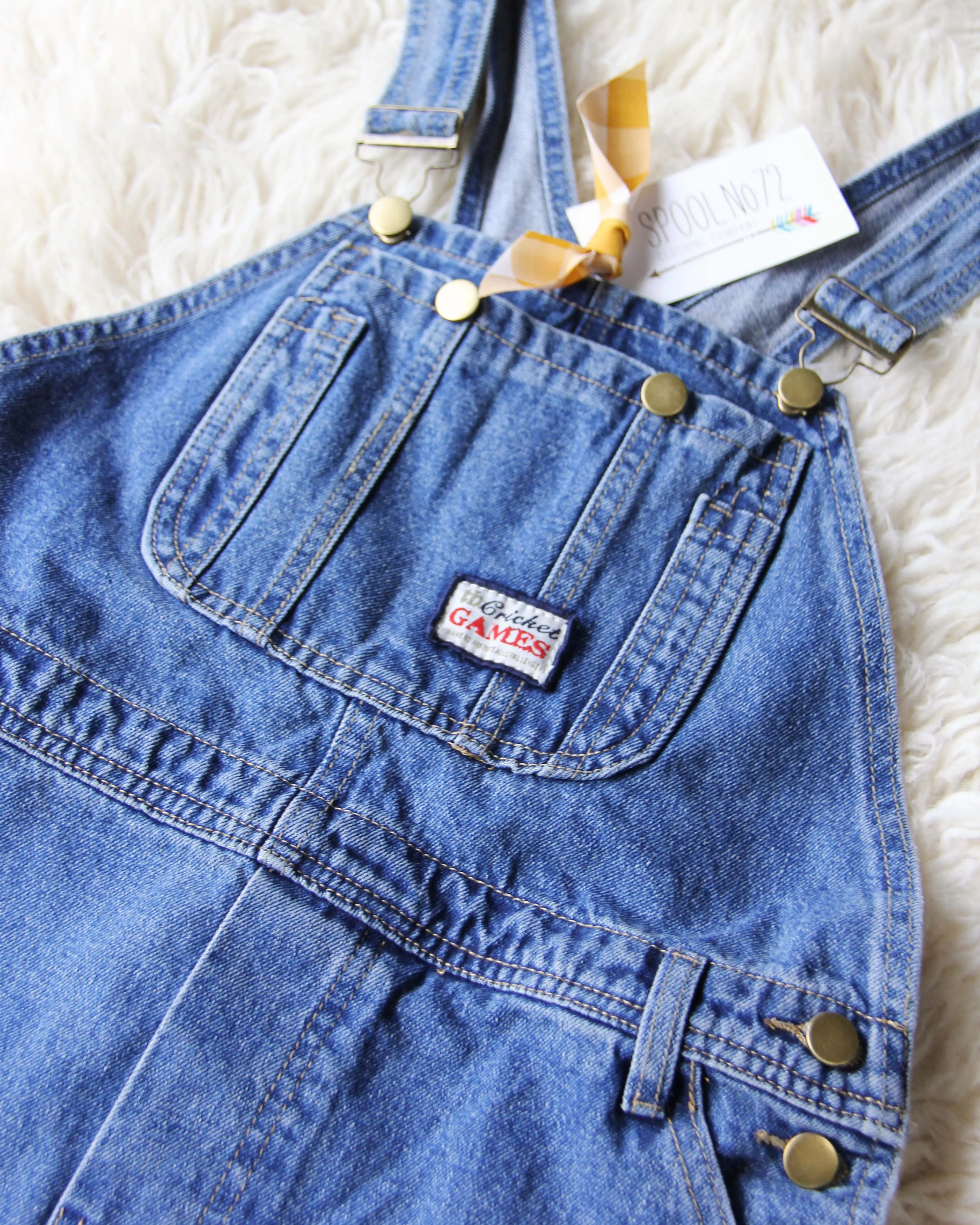 The Carpenter Overalls
