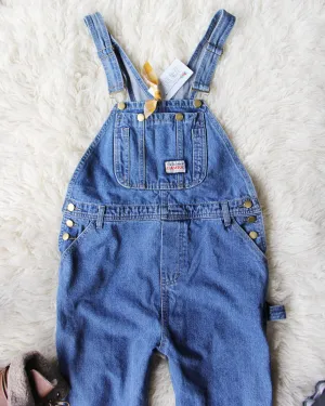 The Carpenter Overalls