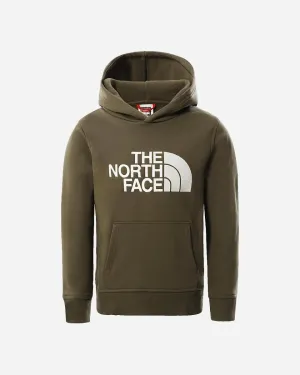 Y Drew Peak P/O Hoodie - Taupe Green/White